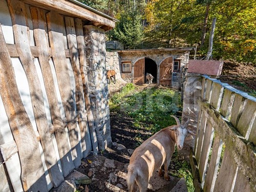 Prodaný dům 98 m², pozemek 4363 m²