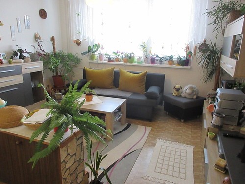 Prodaný byt 2+kk 43 m²