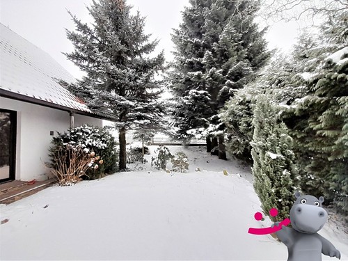 Prodaný dům 300 m², pozemek 877 m²
