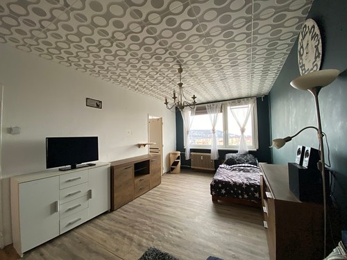 Prodaný byt 1+1 33 m²