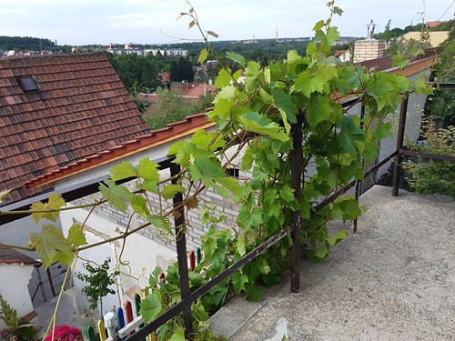 Dům, 195 m²