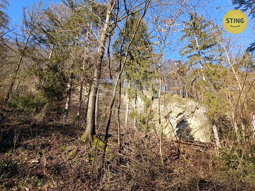 Prodaná chata 25 m², pozemek 200 m²