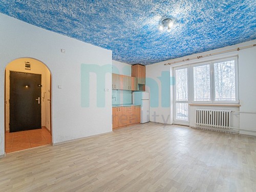 Prodaný byt 1+kk 25 m²