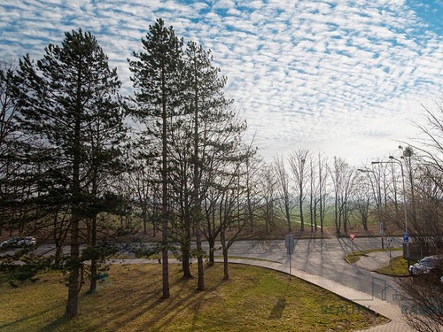 Prodaný byt 3+1 67 m²