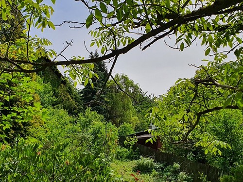 Prodaná chata 95 m², pozemek 1360 m²
