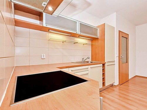Prodaný byt 1+kk 47 m²