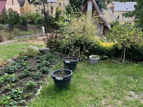 Prodej chaty 36 m², pozemek 508 m²