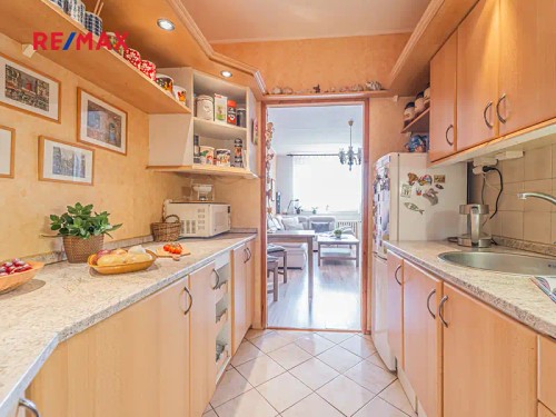 Prodaný byt 3+1 65 m²