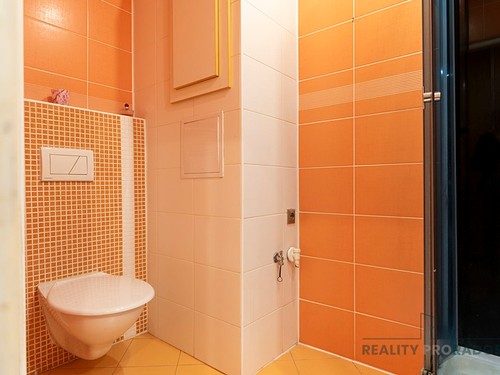 Prodaný byt 2+1 54 m²