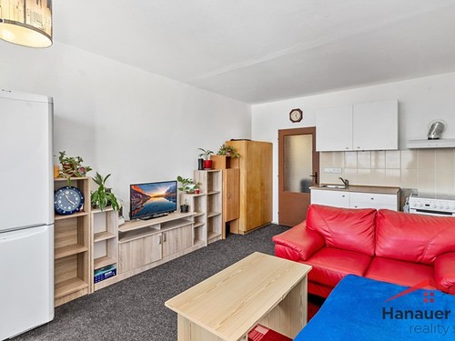 Prodaný byt 1+kk 26 m²