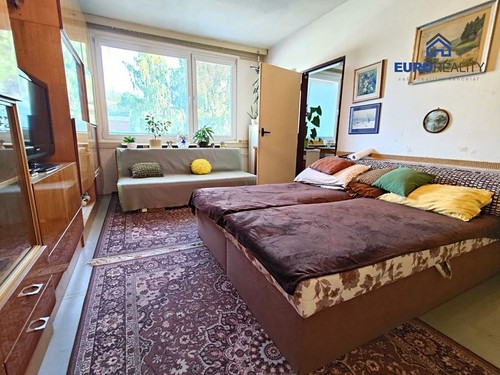 Prodaný byt 1+1 43 m²