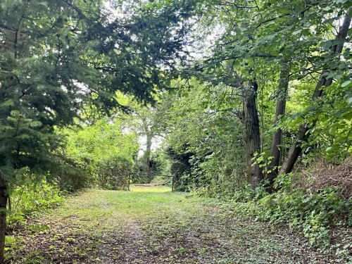 Prodaná chata 54 m², pozemek 535 m²