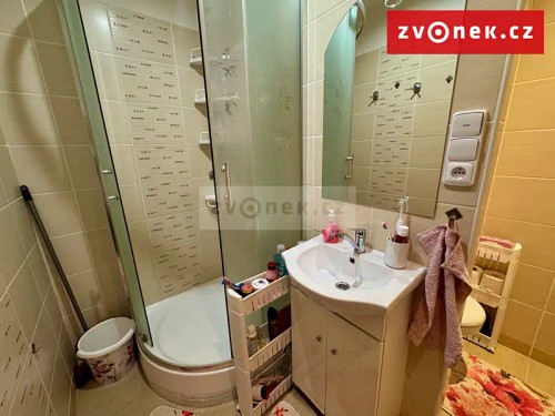 Prodej bytu 2+1 45 m²