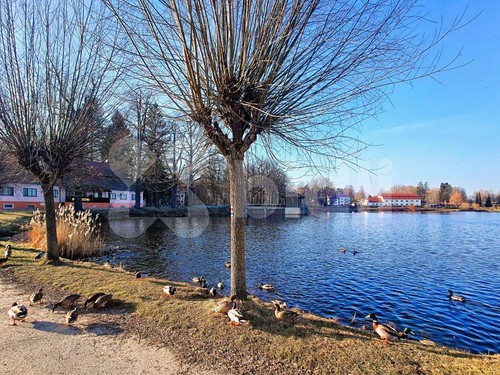 Prodaný dům 85 m², pozemek 250 m²