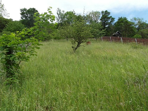 Prodaný dům 67 m², pozemek 97 m²