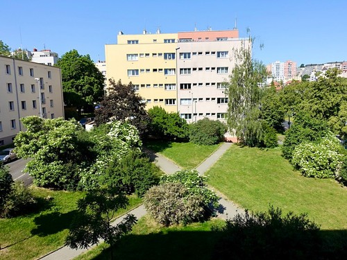 Prodaný byt 1+1 42 m²