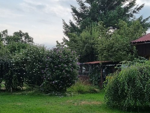 Prodaný dům 230 m², pozemek 852 m²