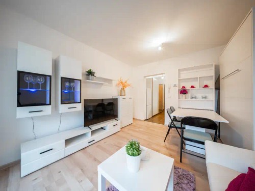 Prodaný byt 1+1 24 m²