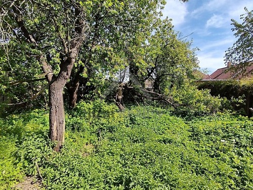 Prodaný dům 130 m², pozemek 349 m²