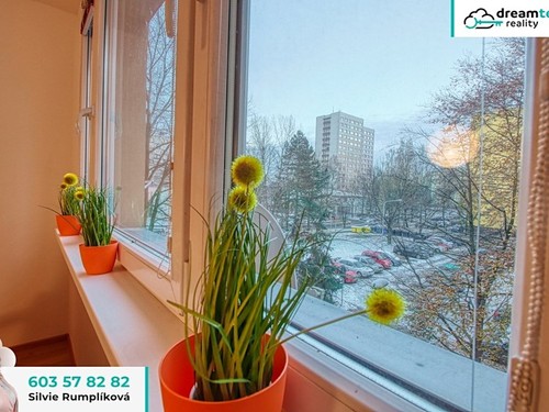 Prodaný byt 1+1 39 m²