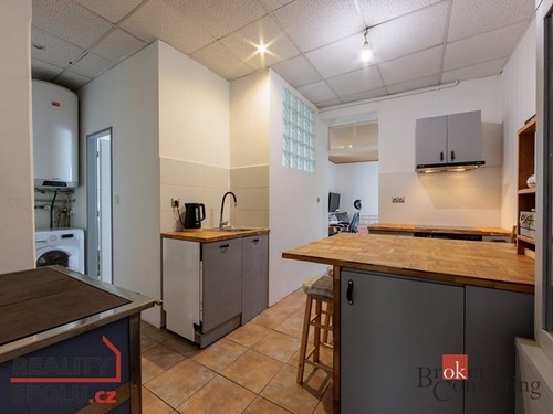 Prodaný dům 390 m², pozemek 482 m²