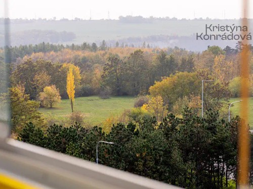 Prodaný byt 3+1 74 m²