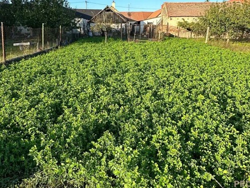 Prodej domu 100 m², pozemek 595 m²