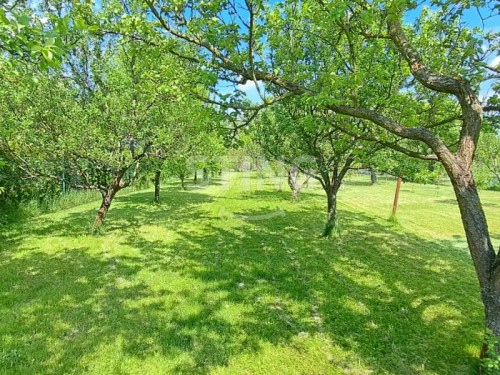 Prodej domu 80 m², pozemek 1148 m²