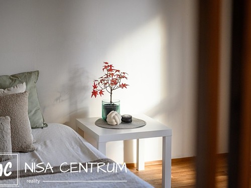 Prodaný byt 1+kk 41 m²