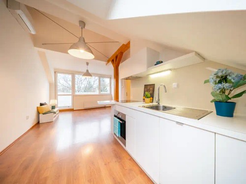 Prodaný byt 2+kk 46 m²
