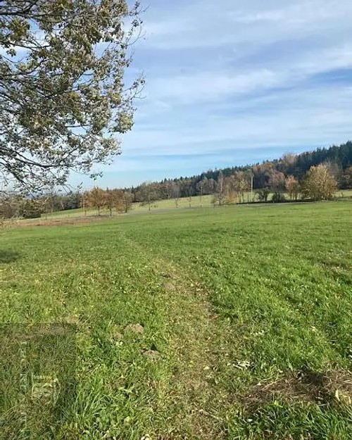 Prodej stavebního pozemku 2464 m²