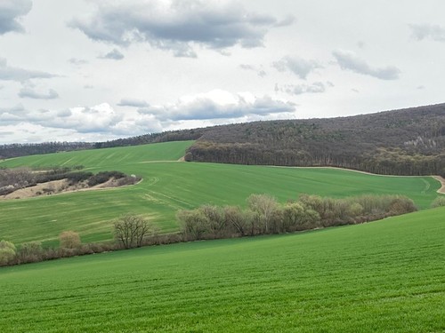 Prodaný byt 3+1 74 m²