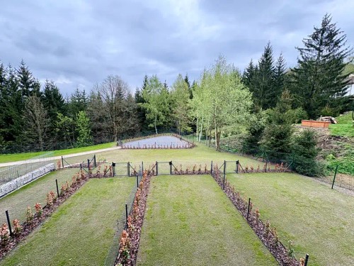 Prodaný byt 1+kk 50 m²