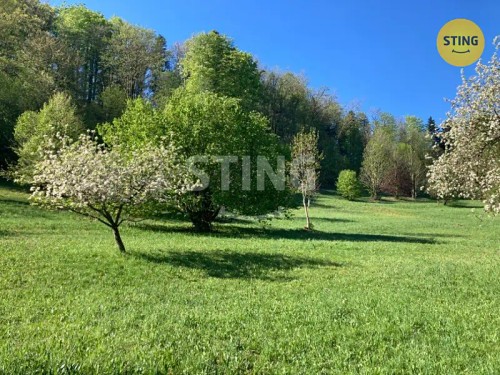 Prodej domu 105 m², pozemek 19365 m²