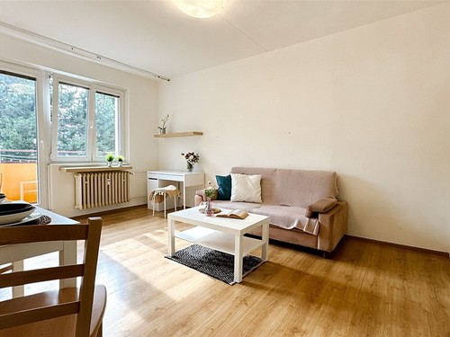 Prodaný byt 1+1 27 m²