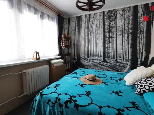 Prodaný byt 3+1 66 m²