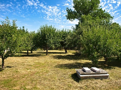 Prodaný dům 60 m², pozemek 1193 m²