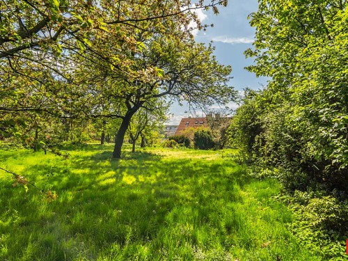 Prodej domu 264 m², pozemek 1000 m²