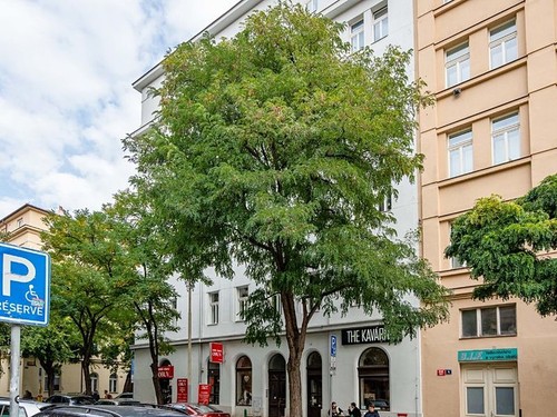 Prodaný byt 4+1 130 m²