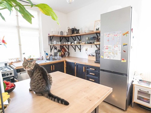 Prodaný byt 3+1 92 m²