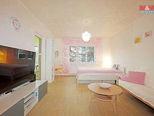 Prodaný byt 2+1 55 m²
