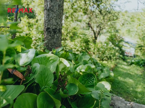 Prodaná chata 12 m², pozemek 702 m²