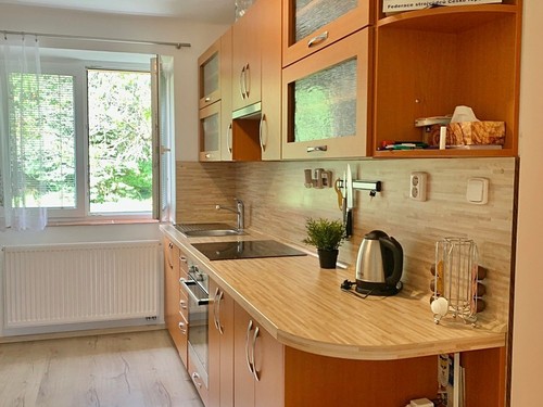 Prodaný byt 1+1 38 m²