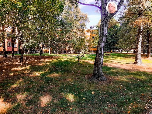 Prodaný byt 2+1 49 m²