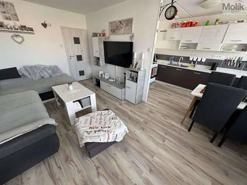 Prodej bytu 3+1 69 m²