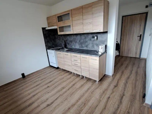 Prodaný byt 1+1 35 m²