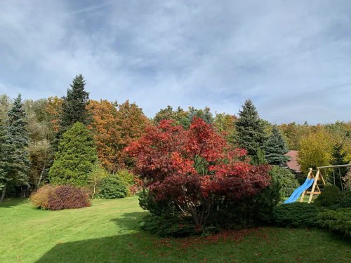 Prodej domu 241 m², pozemek 3119 m²
