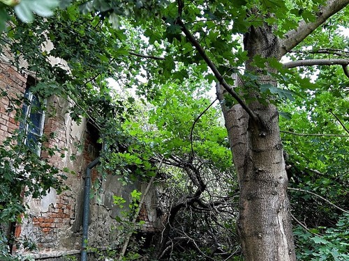 Prodaný dům 115 m², pozemek 470 m²