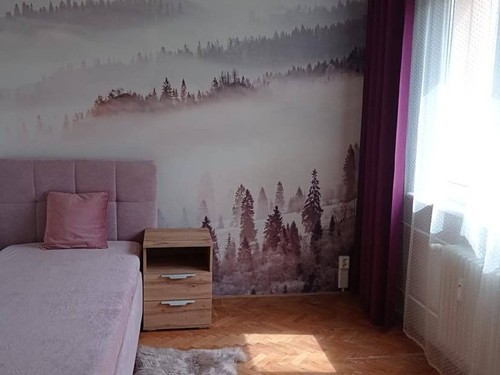 Prodaný byt 3+1 65 m²