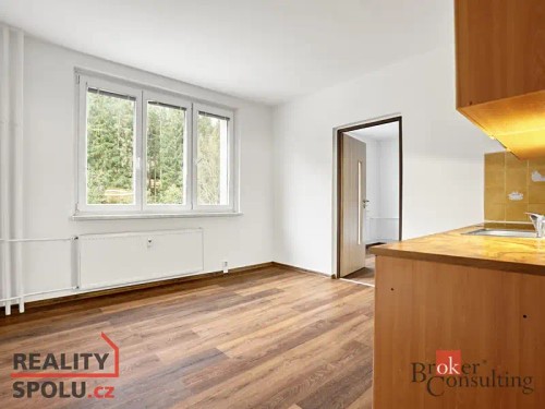 Prodaný byt 1+1 36 m²